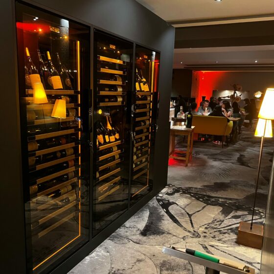 Caves à vins de service EuroCave encastrée intérieur design
