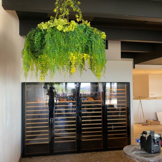 Grand alignement de caves à vin EuroCave vitrées avec clayettes en bois, installé dans un espace en aménagement avec suspension végétale, à Aix-en-Provence